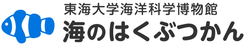 東海大学海洋科学博物館 海のはくぶつかん