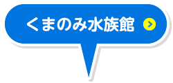 くまのみ水族館