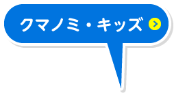 クマノミ☆キッズ